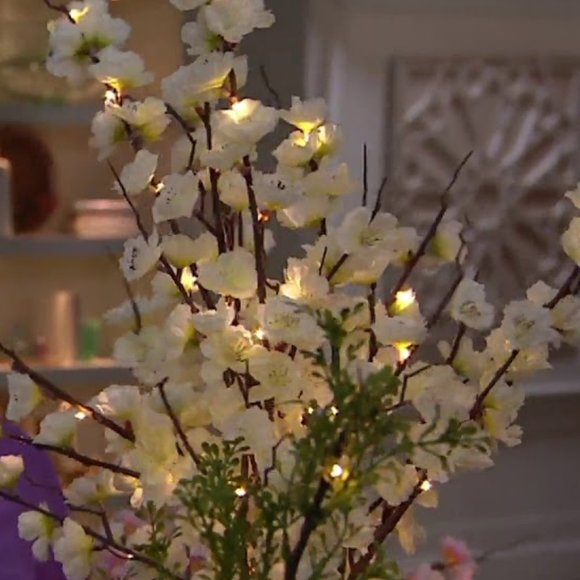 Other - NWT Set 2 Illuminated Decorative Spring Branches